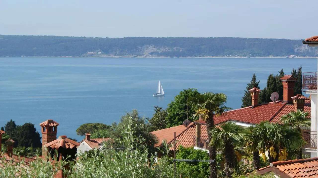 Pogled čez strehe in palme na zaliv z jadrnico